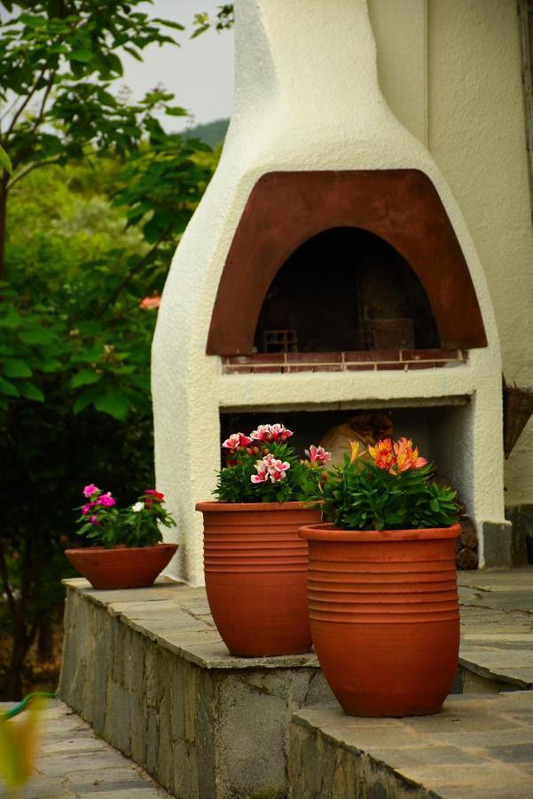 Villa Monte Kariotes Samothraki Luaran gambar